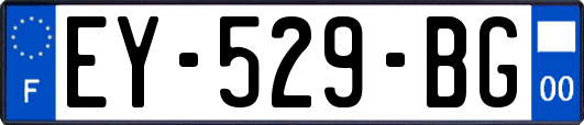 EY-529-BG