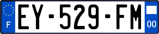EY-529-FM