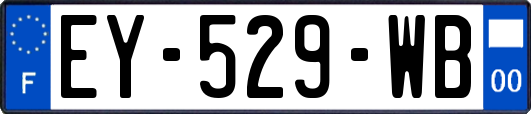 EY-529-WB