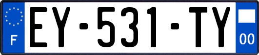 EY-531-TY