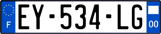 EY-534-LG