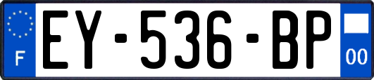 EY-536-BP