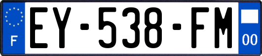 EY-538-FM