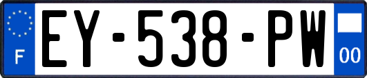 EY-538-PW