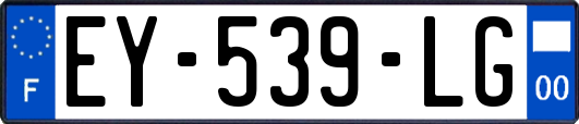 EY-539-LG