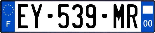 EY-539-MR