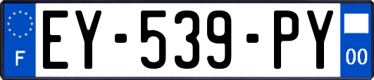 EY-539-PY