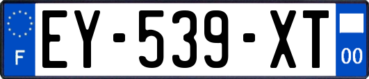 EY-539-XT