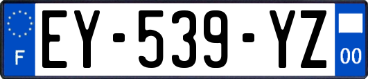 EY-539-YZ