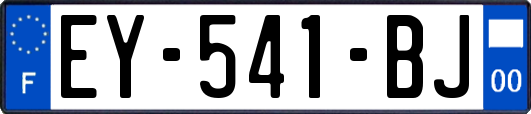 EY-541-BJ