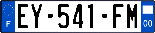 EY-541-FM
