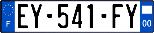 EY-541-FY