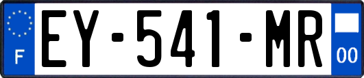 EY-541-MR