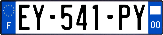 EY-541-PY
