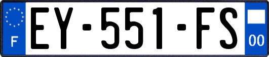 EY-551-FS