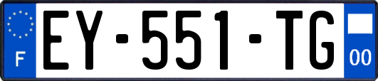 EY-551-TG