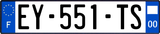 EY-551-TS
