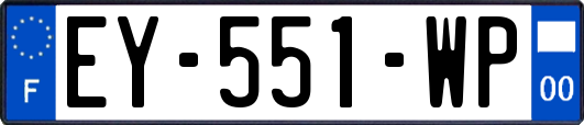 EY-551-WP