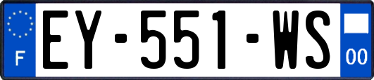 EY-551-WS