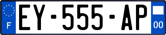 EY-555-AP