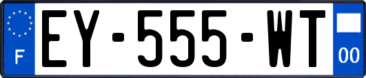 EY-555-WT