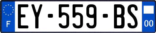 EY-559-BS