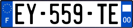 EY-559-TE