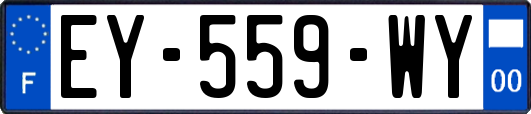 EY-559-WY