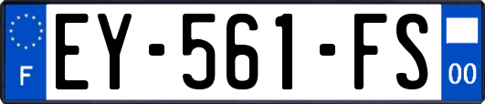 EY-561-FS