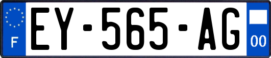 EY-565-AG