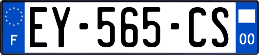 EY-565-CS