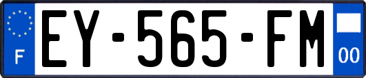 EY-565-FM