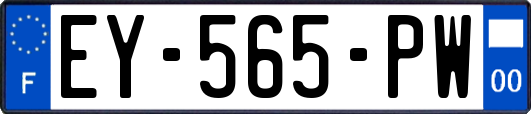 EY-565-PW