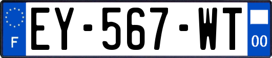 EY-567-WT