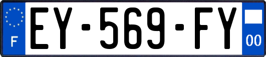 EY-569-FY