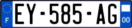 EY-585-AG