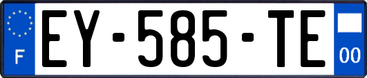 EY-585-TE