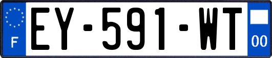 EY-591-WT