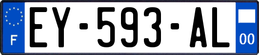 EY-593-AL