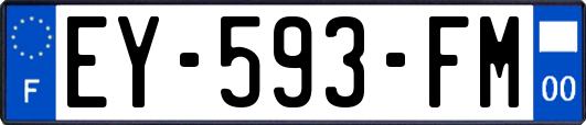EY-593-FM