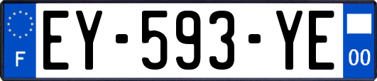 EY-593-YE