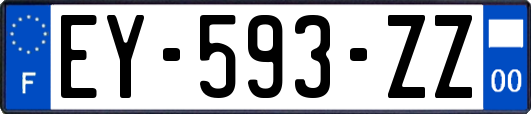 EY-593-ZZ
