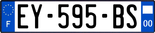 EY-595-BS