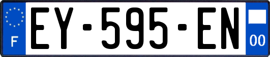 EY-595-EN