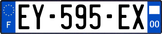 EY-595-EX