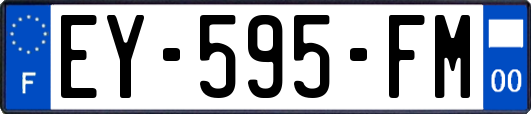 EY-595-FM