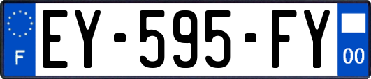 EY-595-FY