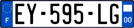 EY-595-LG