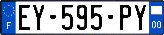 EY-595-PY