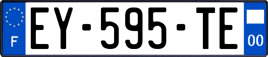 EY-595-TE